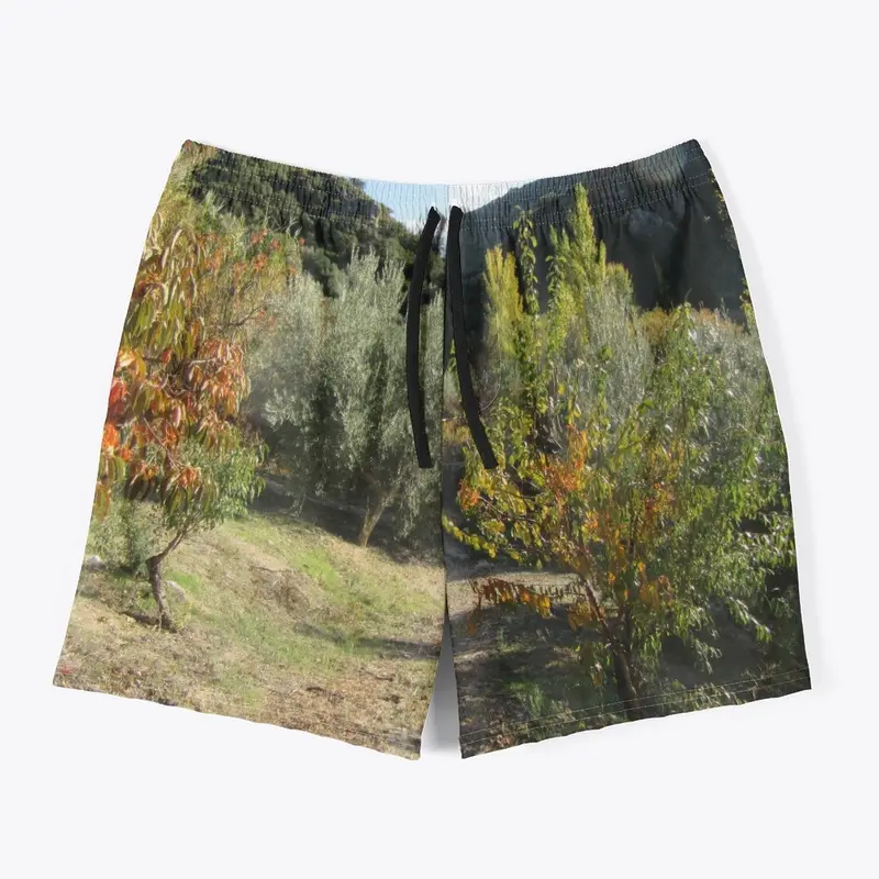 Spring in Andalucía Swim Trunks